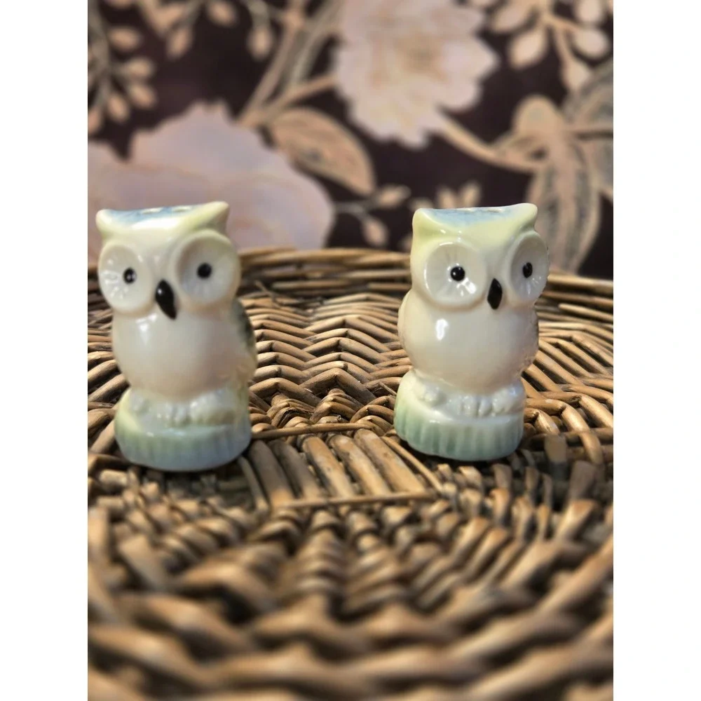 😎Cute Ceramic Owl Salt‎ Pepper Shakers Set Kitchen Decor Vintage Cracker Barrel